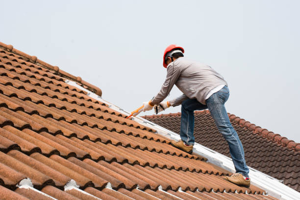 Best Roof Maintenance and Cleaning  in Tulsa, OK